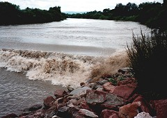 The Severn tidal river bore – the largest and most famous river bore in the UK.